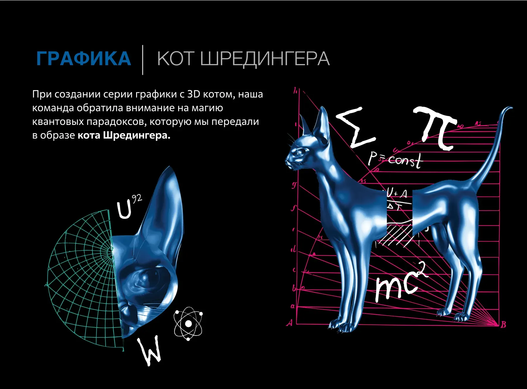 Серия «Кот Шрёдингера» — трёхмерный кот с формулами